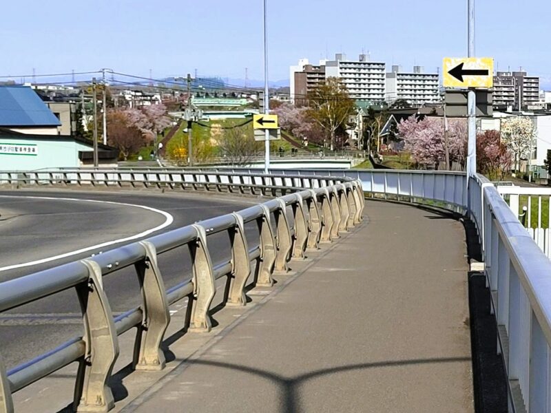 道道44号線跨線橋から軽川桜づつみを見る