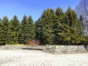 前田森林公園の石垣