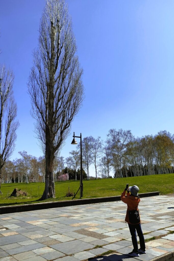 前田森林公園のポプラと相方