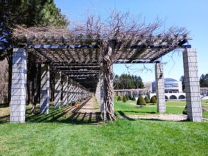 前田森林公園のパーゴラその2