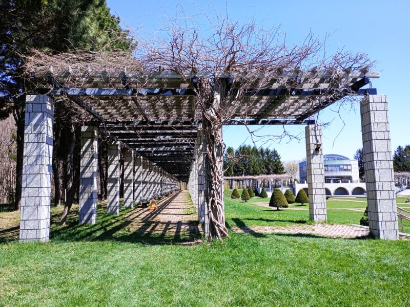 前田森林公園のパーゴラその２