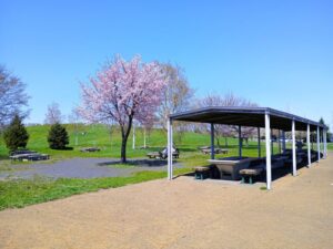 前田森林公園の広々原っぱのBBQ設備
