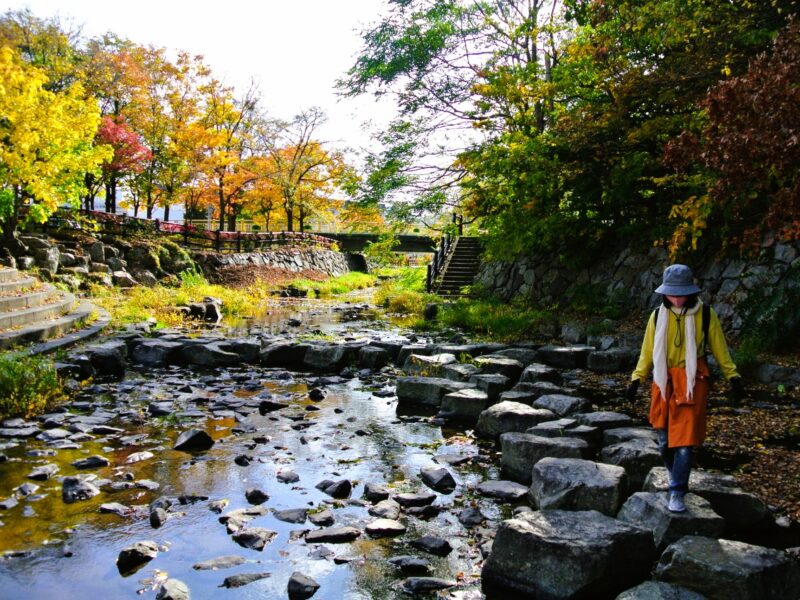 晩秋の山鼻川緑地