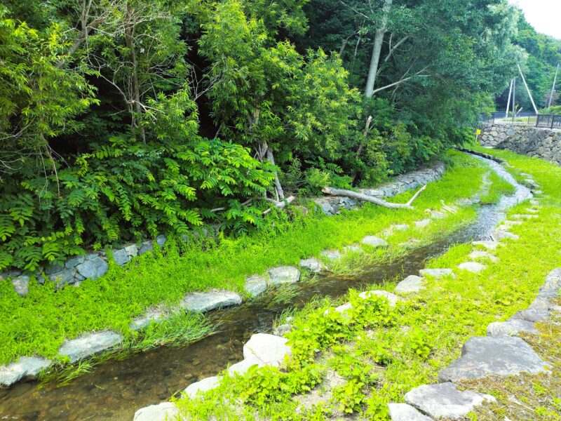 山鼻川緑地の散策ゾーン