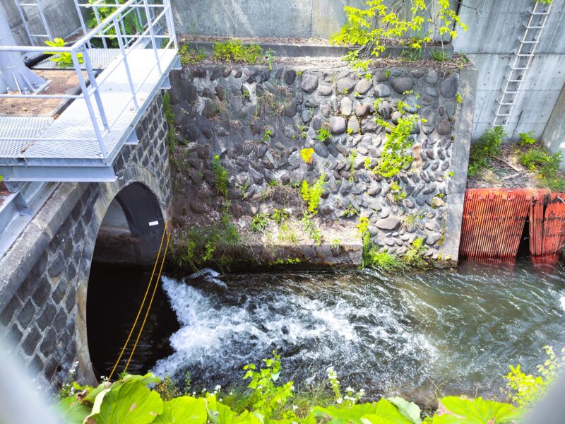 山鼻川に合流する支流か湧き水