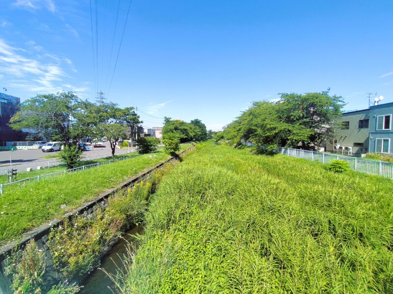 月寒河畔緑地(あかつき橋付近)