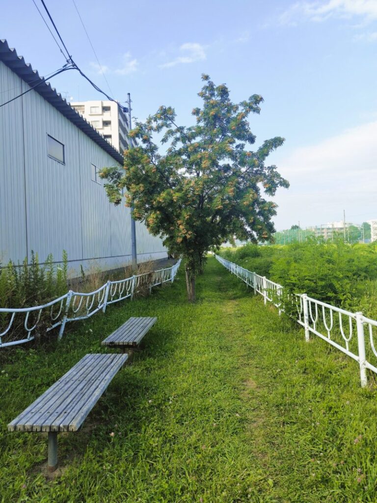 月寒河畔緑地(霜踏橋付近)