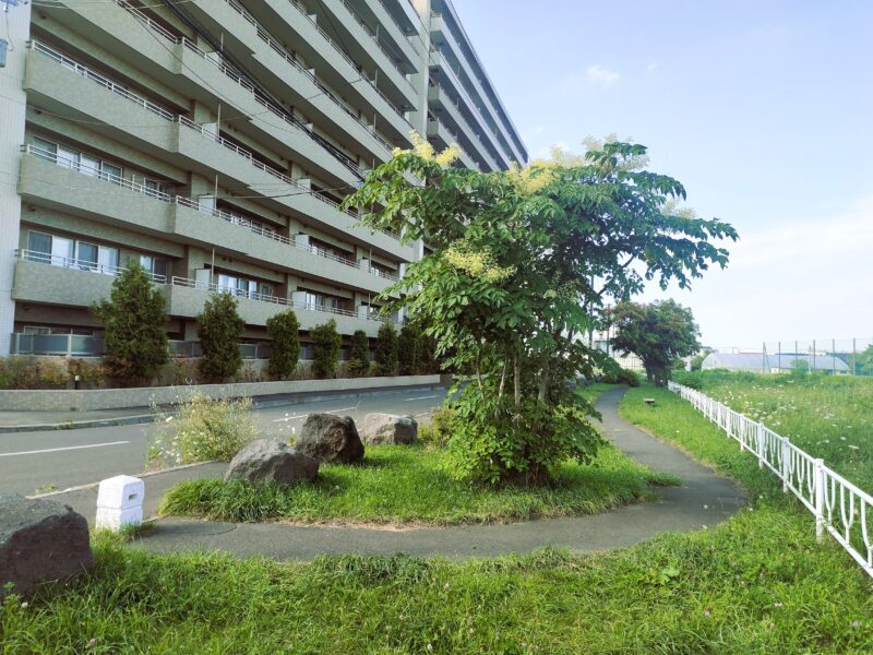 月寒河畔緑地(本通橋へ向かう途中)