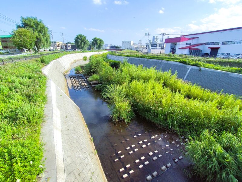 月寒川(高い護岸壁)