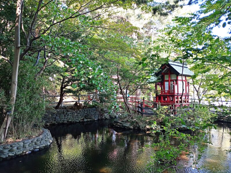 白石神社の神寄谷の池
