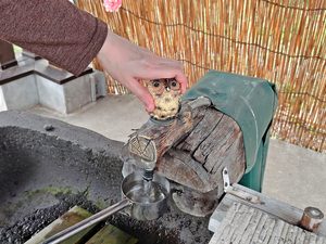 苗穂神社の手水舎のフクロウ